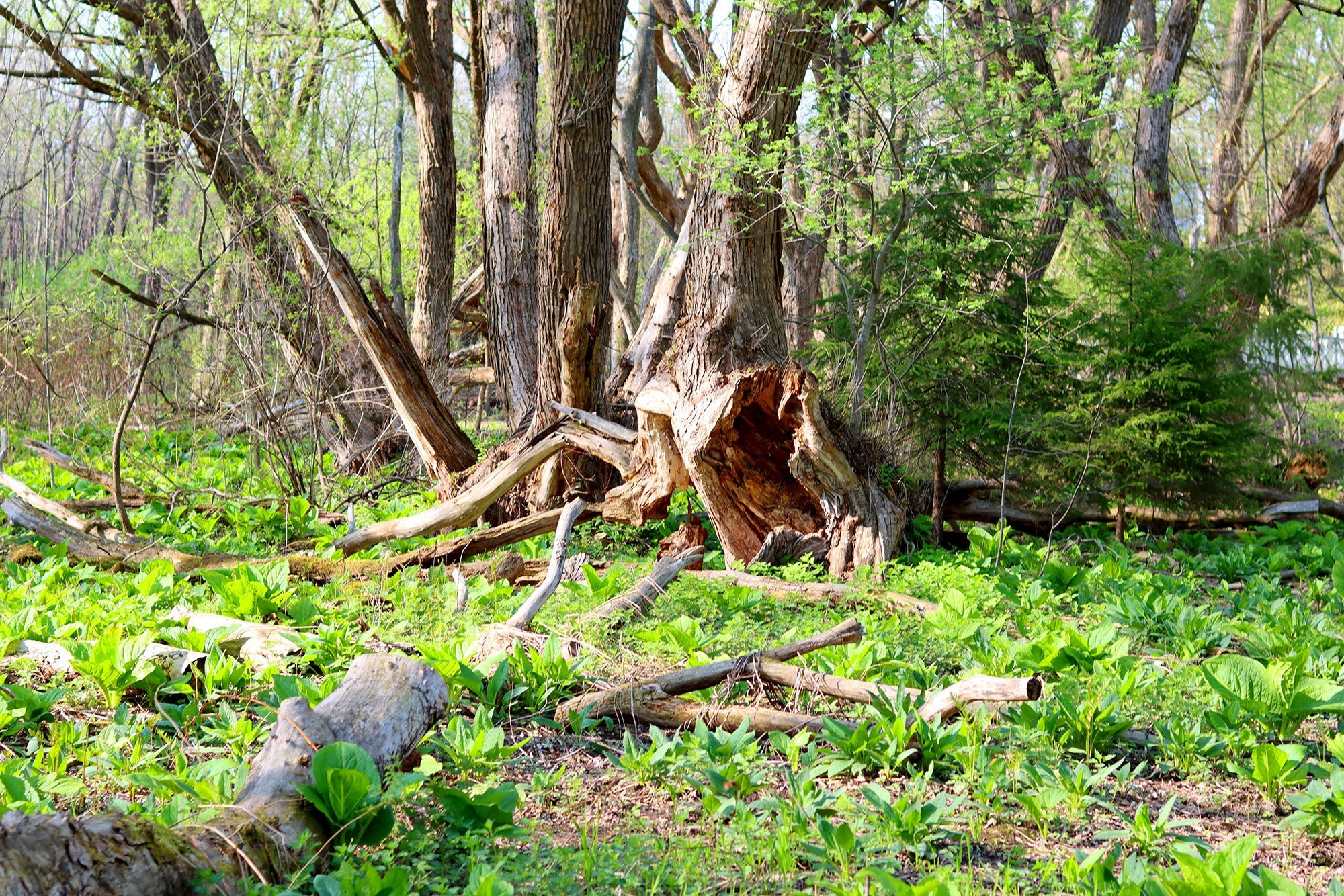 Journal du Point Zéro