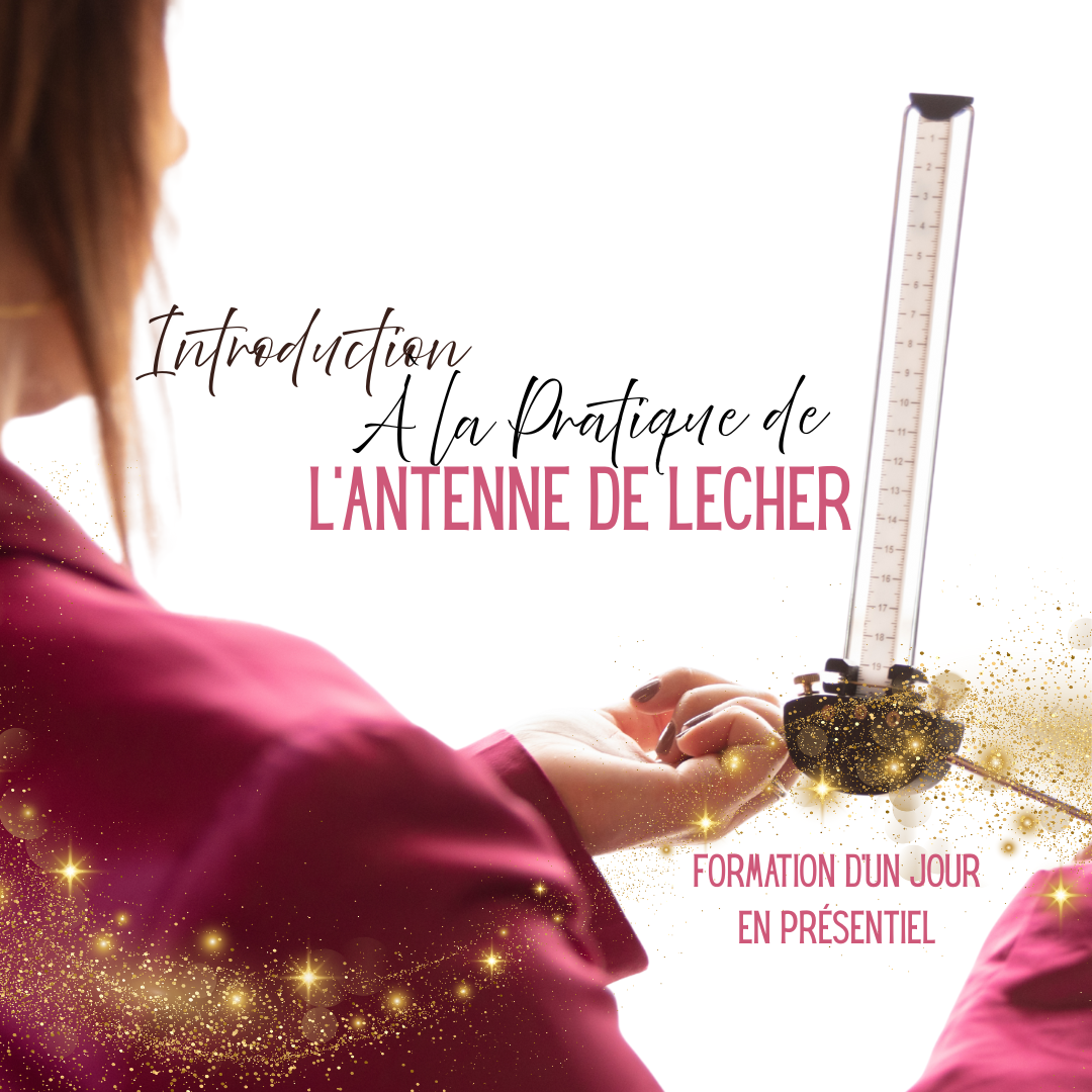 Introduction à la Pratique de l'Antenne de Lecher : Atelier d'une journée à Québec