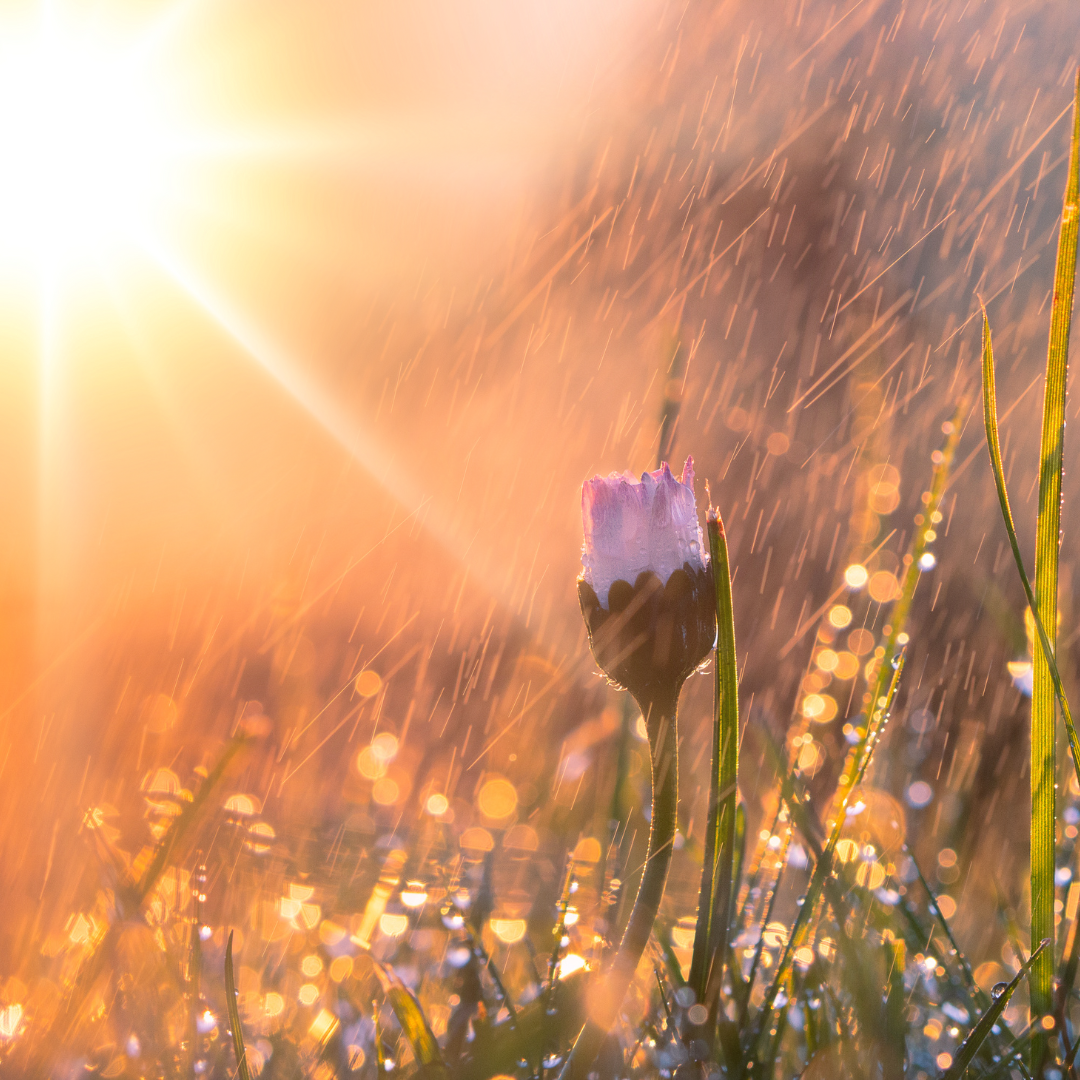 L'expansion en mouvement : Session "ADN ET  ÉNERGIE" de groupe