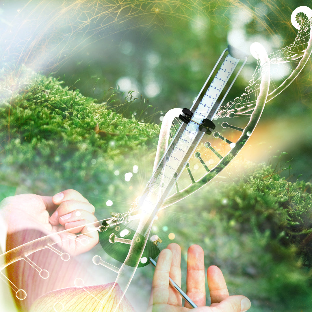 Harmonisation Énergétique --Session individuelle